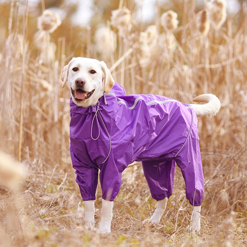 Dog Raincoat Reflective Waterproof Zipper with Hood