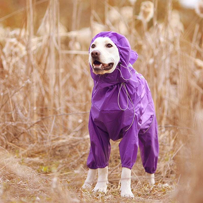 Dog Raincoat Reflective Waterproof Zipper with Hood