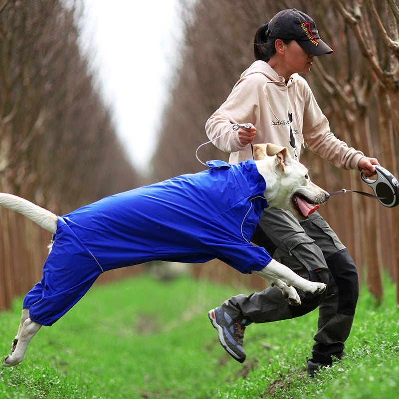 Dog Raincoat Reflective Waterproof Zipper with Hood