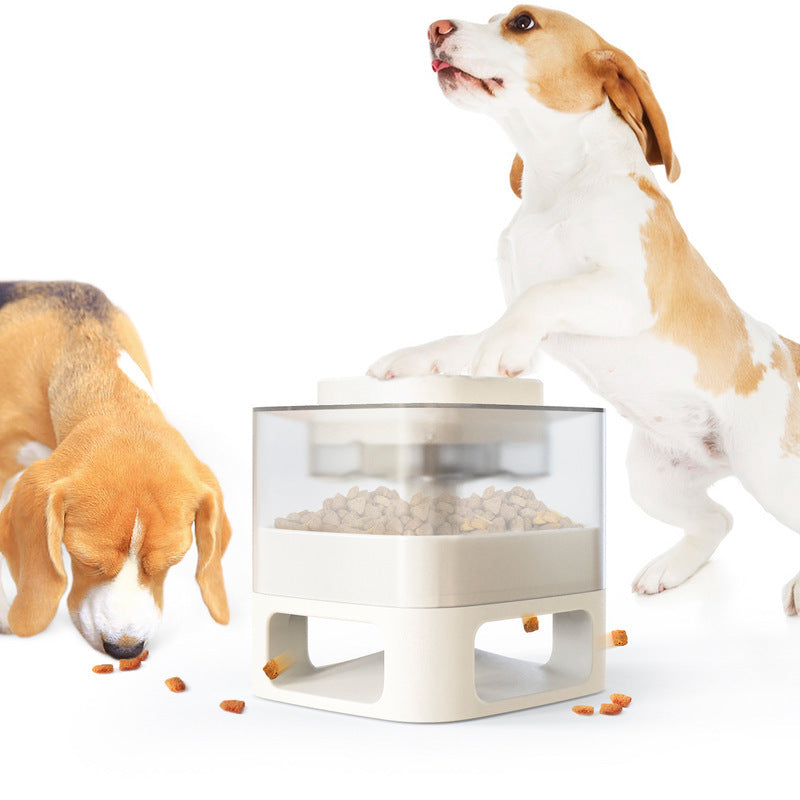 Make Treat Feeding time more Fun with Food Catapult