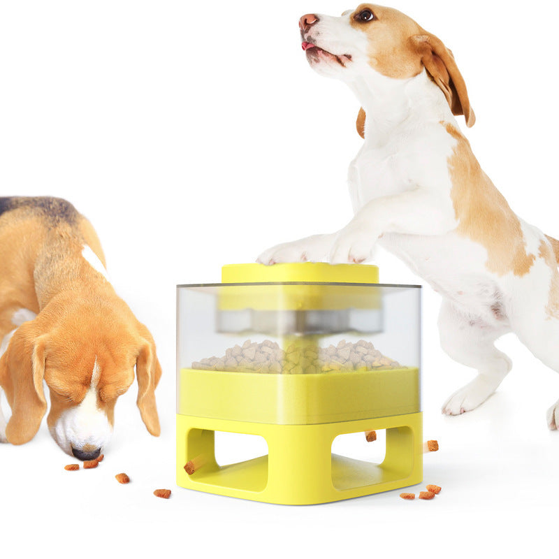 Make Treat Feeding time more Fun with Food Catapult