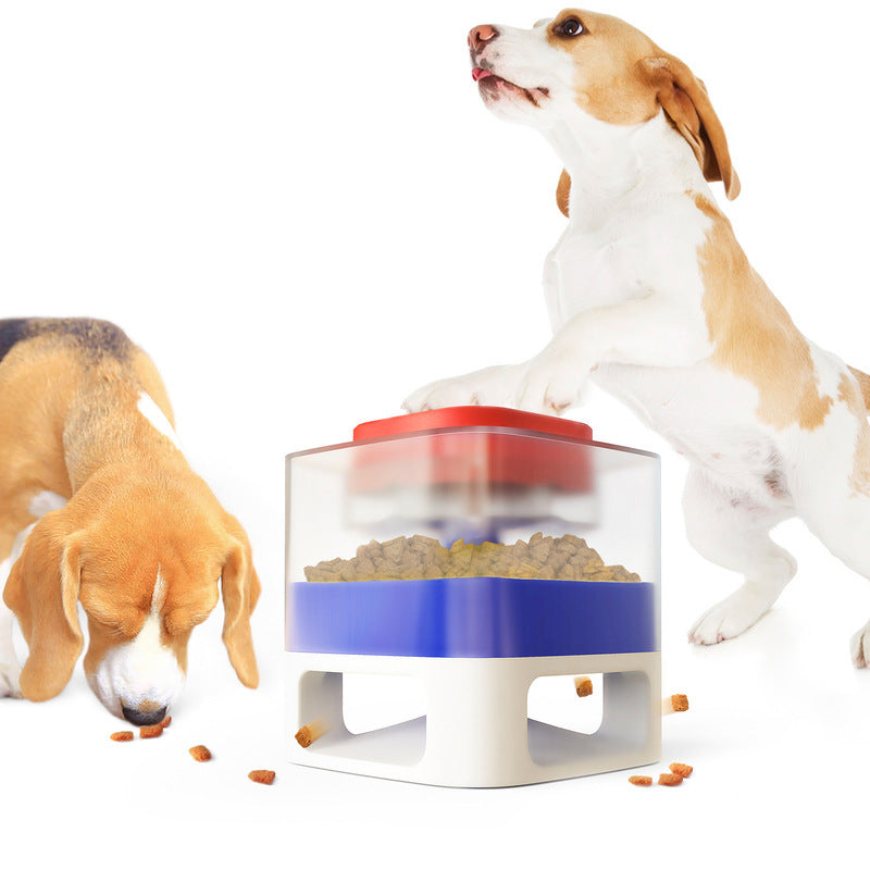 Make Treat Feeding time more Fun with Food Catapult